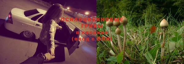 винт Белоозёрский