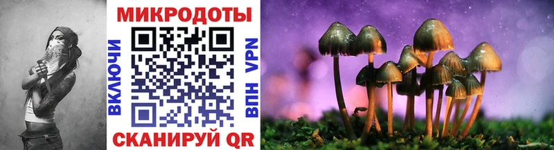 hydra как войти  Кохма  Галлюциногенные грибы MAGIC MUSHROOMS 
